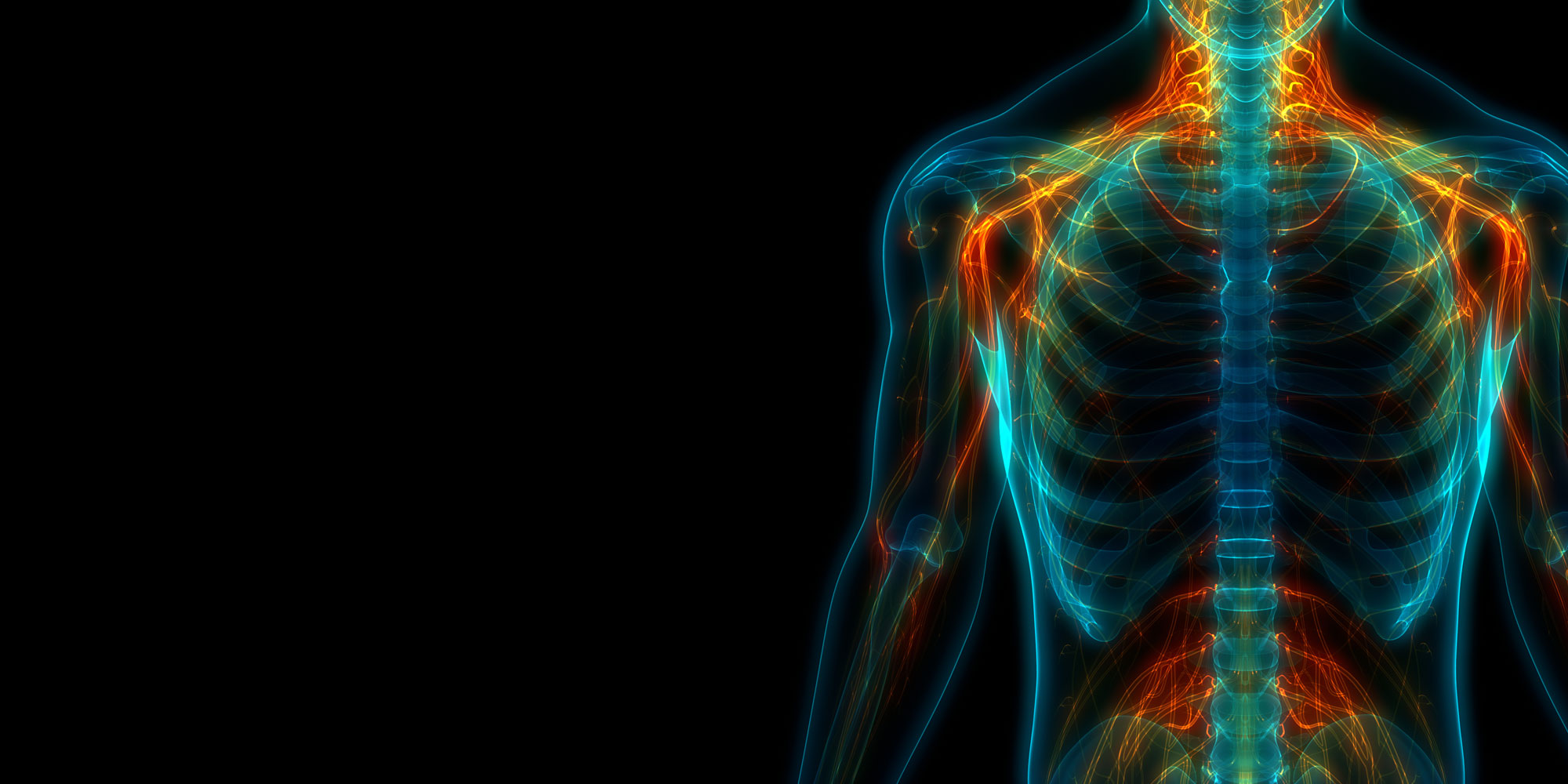 systemic health hero